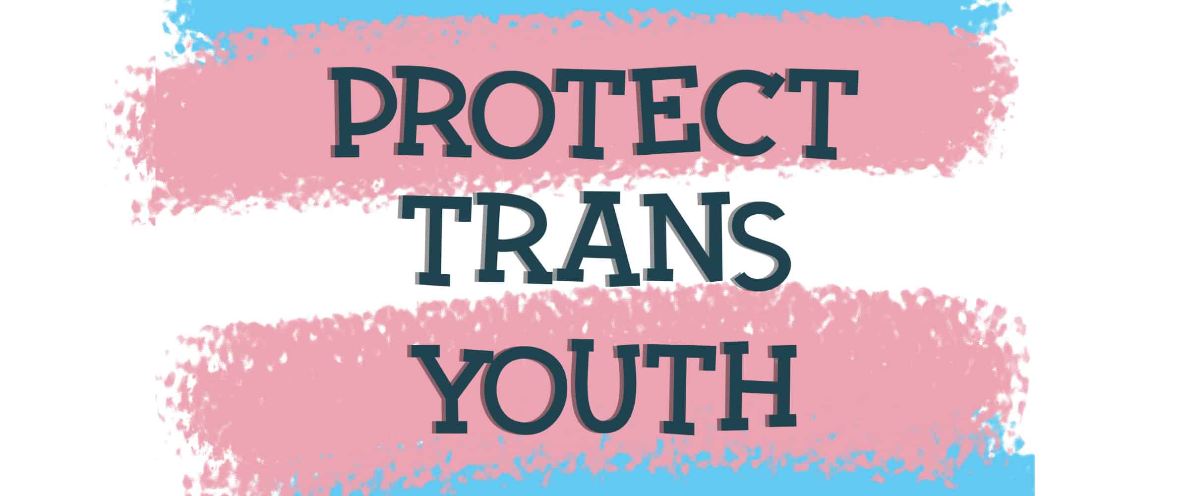 protect trans youth blog banner